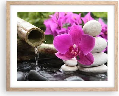 Produktbild von Gerahmtes Poster - Rahmen in heller Eiche - Orchidee Bambus Dekoration Spa - 50x40 cm - Wand Bild - Wanddeko - Wandbilder - Wandposter - Bilderrahmen - Bilder - Kunstdruck - Wandbild - P2NAA50x40-2666
