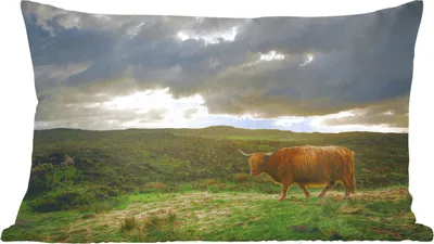Produktbild von MuchoWow® Zierkissen Sofakissen Wohnzimmer Dekokissen 50x30 cm Schottisches Hochlandrind - Landschaft - Kuh - Wohnzimmerdekoration - Polster mit Photo