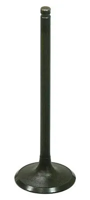Productafbeelding van Inlaatklep Kawasaki Teryx 800 '14-'18, Stal (29,95X5X91,65Mm) (Oem: 12004-0048)