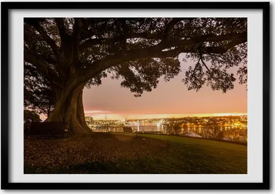 Produktbild von Bild - Bilderrahmen - 100 cm x 70 cm - MDF - Rahmen - Foto - Wandkunst alter Baum