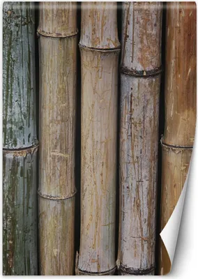 Produktbild von Vlies fototapete Pastellfarbene Babmusstängel 150x210 cm Feeby Beige inkl. Kleber einfache Montage