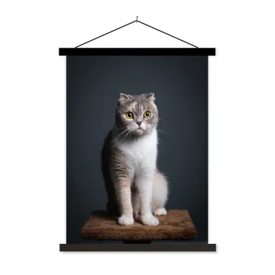 Produktbild von MuchoWow® Textilposter Katze - Haustiere - Licht 90x120 cm mit schwarzem Rahmen - Dekoration