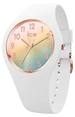 Image de Ice-Watch montres analogiques pour adultes