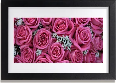 Produktbild von Bild 30x20 MDF-Rahmen Wandkunst Rosen Blumen Pflanzen