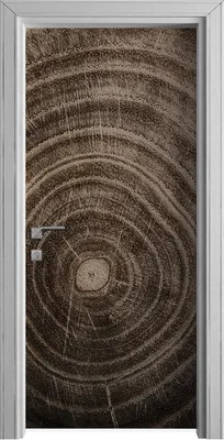 Produktbild von Tür Selbstklebende 90x210 cm Türfolie Türtapete Klebefolie - Holz Stamm