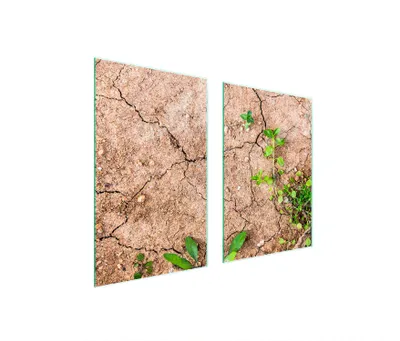 Produktbild von Glasschutzplatte für Küchenpflanzen 65x52