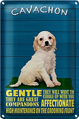 Produktbild von Blechschild Spruch 18x12cm Cavachon Hund gentle affectionat