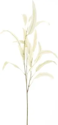 Produktbild von Künstlicher Eukalyptuszweig als Dekoration, cremefarben, 74 cm, aus Seide