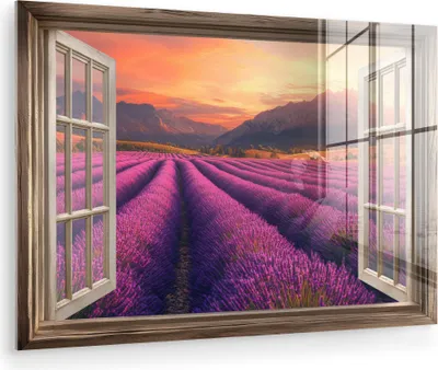 Produktbild von MuchoWow Glasbilder - Bilder auf Wandbild - Foto auf Glas Durchsichtig - Lavendel - Landschaft - Blumen - Lila 30x20 cm Wanddekoration aus Glas - Acrylglasbild - Acrylbilder - Bilder auf glas wandbild