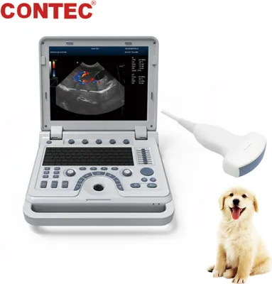 Produktbild von CMS1700A-VET Tragbarer Veterinär-Ultraschallscanner Ultraschallgerät für Tiere Farbdoppler Hund Katze konvexe Sonde 15"Farb-LCD