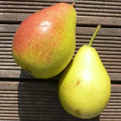 Two pears are placed on a wooden surface.