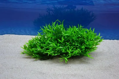 Produktbild von Amtra Replica XXL Bamboo 30x16 cm – Künstliche Aquarium-Deko