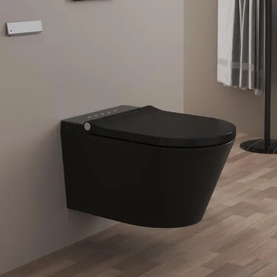 Immagine prodotto di Water WC con doccia, modello Kronenbach, senza anello di scarico, completo di sedile