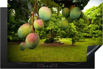 Produktbild von KitchenYeah© Herdabdeckplatte Mango - Obstbaum - Grün , 81x52cm, Küche Deko, Glaskeramikkochfeld Herdabdeckung, Abdeckplatte fùr Kochfeld