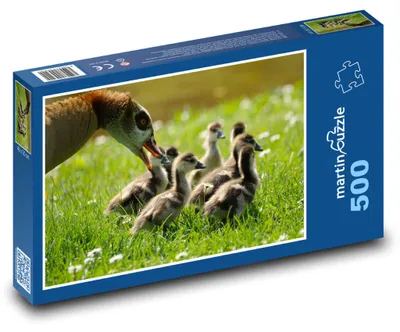Zdjęcie produktu dla Puzzle 500 Gęsi i ich pisklęta - martinpuzzle