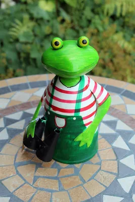 Produktbild von Zaunhocker Frosch Gärtner mit Fernglas