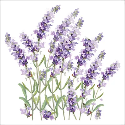Produktbild von Lavendel-Toilettenaufkleber, abnehmbar, selbstklebend, wasserdicht, PVC, Wanddekoration für Wohnzimmer und Badezimmer, lilafarben, Blumen-Toilettendeckel
