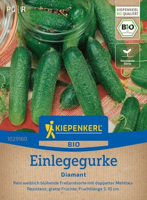 Produktbild von Kiepenkerl Einlegegurkensamen Diamant F1 Cucumis sativus 14 Pflanzen