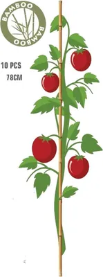 Produktbild von ProGarden Bambus-Pflanzstäbe 78 cm – 10er Set – natürliche Rankhilfe für Tomaten, Gurken, Bohnen & Kletterpflanzen – stabil, leicht, kombinierbar – Ø ca. 8 mm – braun
