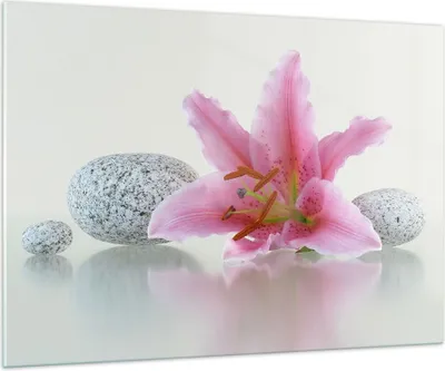 Produktbild von Bilder auf glas - Lilienblüte grün Pflanze - 100x70cm - Glasbilder - Wandbilder - Kunstdruck - zum Aufhängen bereit - Wanddekoration aus Glas - Glas Bilder - Wandbild auf Glas - GAA100x70-0485