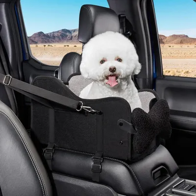 Immagine prodotto di Seggiolino auto per cani e gatti di piccola taglia | Impermeabile, con tasche laterali, montaggio rapido | Nero | 41,5 x 26,5 x 6,5 cm
