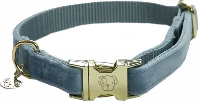 Obrázek produktu pro Kentucky Dogwear Sametový obojek pro psy Obojek pro psy