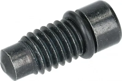 Image de SHIMANO Vis de purge pour BR-RS785 avec joint d'étanchéité - 3 g