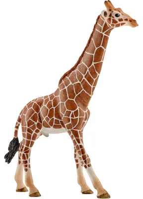 Immagine prodotto di Schleich, animale (grigio PGR), Mondo Fattoria