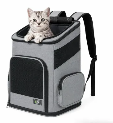 Faltbarer Haustierrucksack für Katzen & kleine Hunde, L, Grau