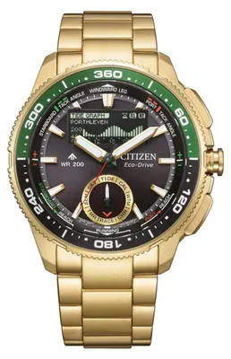 Citizen JV3002-51E Promaster Eco-Drive Solaruhr Wave Tracker Goldfarben 1