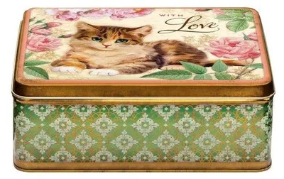 Produktbild von Meander Dekorative Dose Kat With Love 20x15x7cm