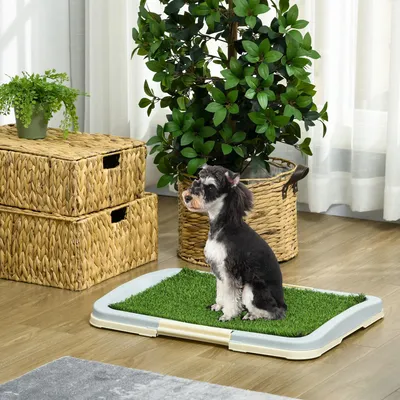 Produktbild von Hundetoilette mit Kunstrasen, Welpentoilette wiederverwendbar, 3-Lagen Hundeklo, Grün | 63 x 48,5 x 6 cm | 1,5 kg | Kunststoff PE