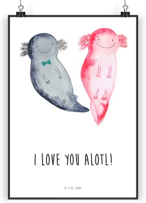 Produktbild von Mr. & Mrs. Panda Bild Axolotl Liebe DIN A4 - Weiß - Geschenk, Freund, wanddeko, Wandbild, drucke, Hochzeitstag, für Freundin, Partner, Plakat, Kunstdruck, Valentinstag