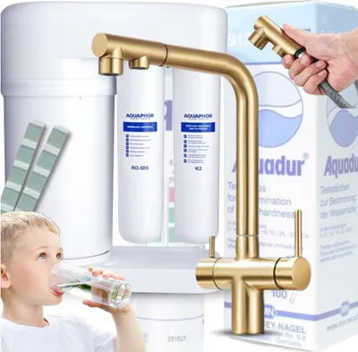 Image de Robinet de cuisine Ari Venom 2 3 voies, douchette extractible, bec pivotant 360, pour filtre a eau, dore brosse