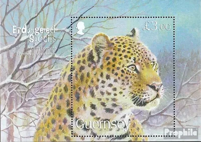 Produktbild von Briefmarken GB - Guernsey 2009 Mi Block48 (kompl.Ausg.) postfrisch Amurleopard