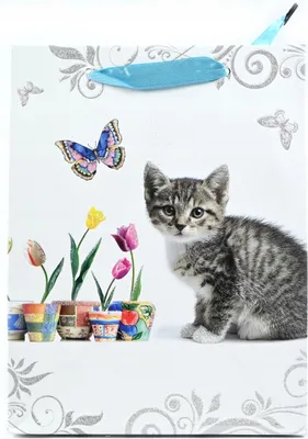 Produktbild von Geschenktüte Hunde & Katzen 18x23cm - Papiertüte Geburtstag - Tierische Tragetasche