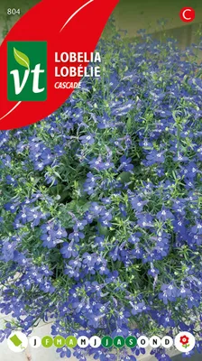 Obrázok produktu pre Semená lobelky kaskádovej - cca 0,4 gr | VT_804