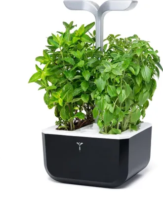 Zdjęcie produktu dla Véritable Exky SMART Garden, LED, 2 lamp(y), Francja