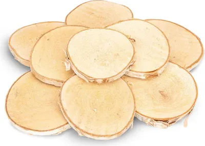 Produktbild von Runde Birkenscheiben Ø 8–10cm, ca. 200g, ca. 8-12 Stück | naturbelassen & geschliffen | Brandmalerei | Herstellen von Namensschildern & Platzkarten | Baumscheiben | Bastel- & Hochzeitsdeko Deko