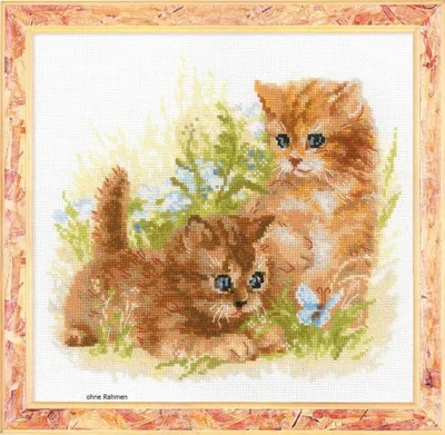 Immagine prodotto di Set punto croce Riolis "Gioco dei bambini" (gatto), schema contato