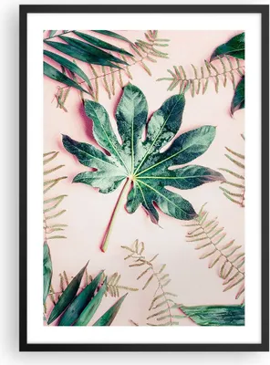 Produktbild von Gerahmtes Poster - Schwarzer Rahmen - Blatt Tropisch Palme - 50x70 cm - Wand Bild - Wanddeko - Wandbilder - Kunstposter - Wandposter - Bilderrahmen - Bilder - Kunstdruck - Wandbild - P2BPA50x70-4314