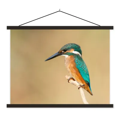 Produktbild von MuchoWow® Textilposter Eisvogel - Tiere - Vogel 40x30 cm mit schwarzem Rahmen - Dekorationen