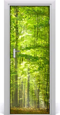 Produktbild von Tulup Türaufkleber 75x205 cm Dekorative Aufkleber Selbstklebend Wasserdichte Tapete Abnehmbar Schlafzimmer Wohnzimmer Wohnkultur - Buchenwaldlandschaften