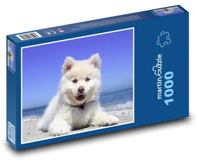 Zdjęcie produktu dla Puzzle 1000 Szczenię na plaży o zachodzie słońca - martinpuzzle