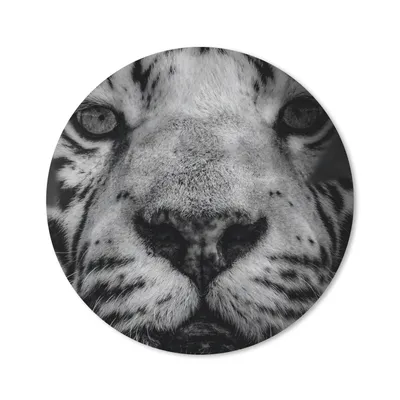 Produktbild von MuchoWow® Mauspad Mousepad Dschungel - Tiger - Schwarz - Weiß 50x50 cm - Mousepads - Maus Mat - Pad - Mausunterlage - Vinyl