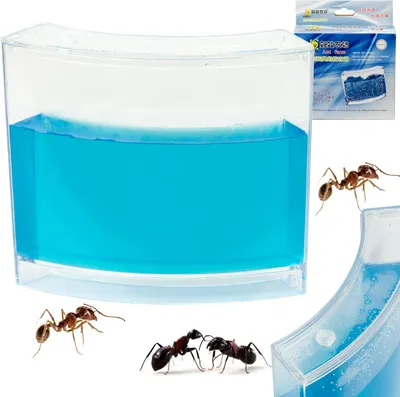 Image de Aquarium en gel éducatif pour fourmis