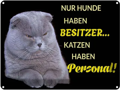 Produktbild von vianmo Blechschild 30x40 cm Hund hat Besitzer Katze Personal