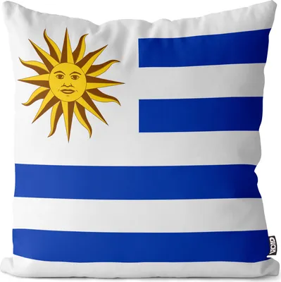 Produktbild von VOID Uruguay EM 2024 Fussball Europameisterschaft Kissenbezug Flagge Fahne Fan-Kissen Kissenhülle Outdoor