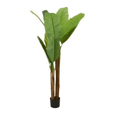 Produktbild von Progarden | Kunstpflanze - Bananenbaum - 160 cm - Dekorativ - Pflegeleicht - Ideal für Innenräume