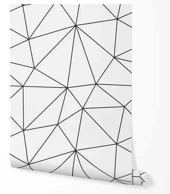 Produktbild von Vliestapete Geometrisch Linien Wohnzimmer 2x2,5 Schwarz-Weiß
